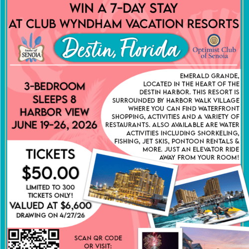 Taste of Senoia Raffle Ticket