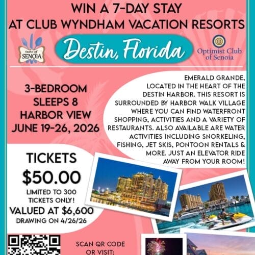 Taste of Senoia Raffle Ticket